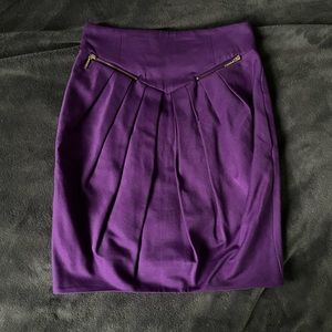 SAVIDA - Dark Purple Fitted Skirt With Gold Zippers